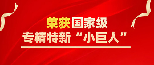 喜报 | DapuStor荣获国家级专精特新“小巨人”企业称号