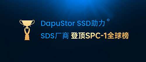 DapuStor SSD助力软件定义存储厂商登顶SPC-1全球榜