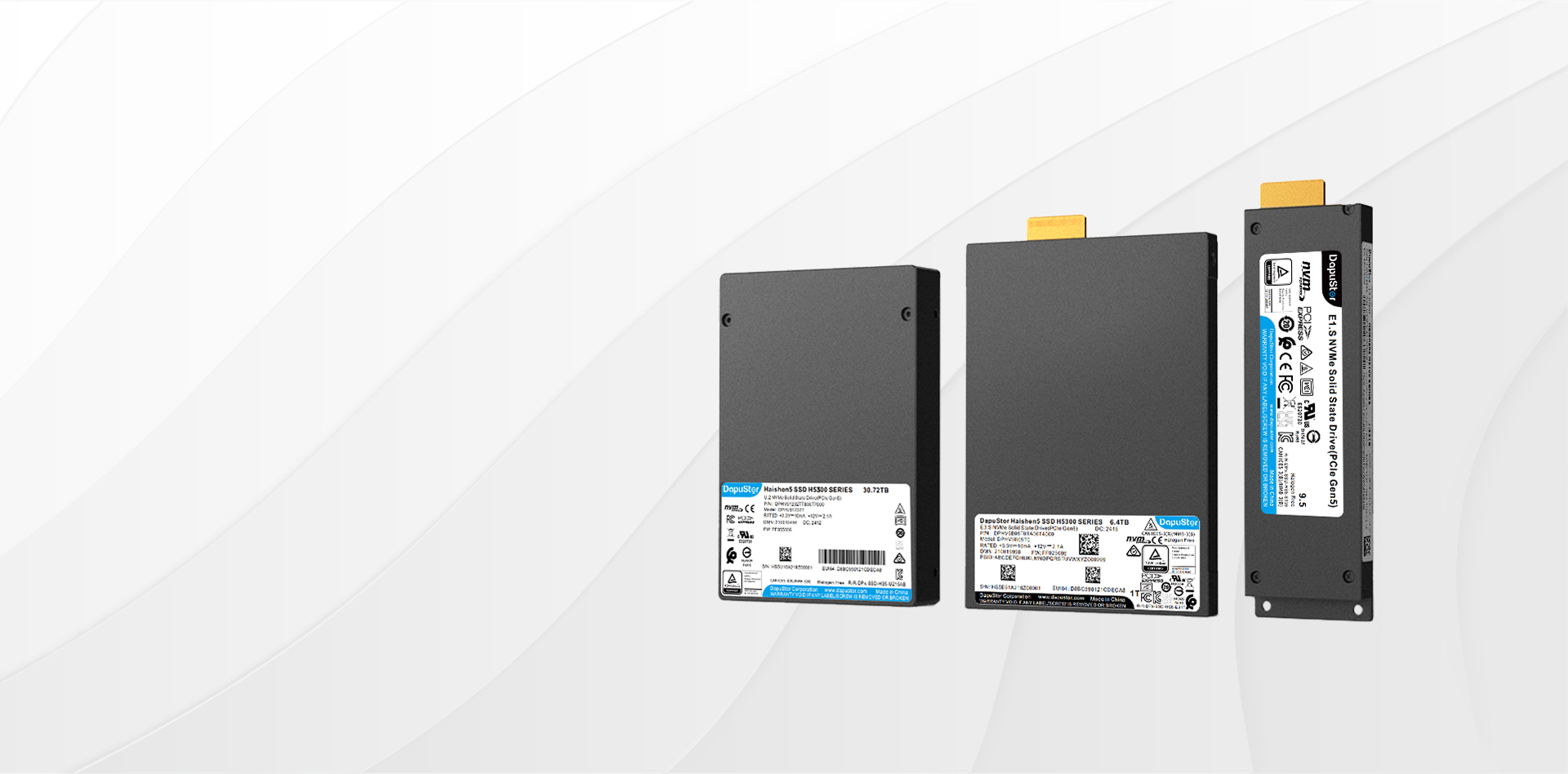 H5300(PCIe Gen5)