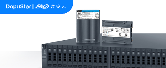 大普微先进存力赋能系列 |  AI存算融合解决方案