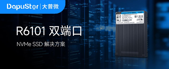 R6101双端口SSD：现代数据中心高可用性与高性能的综合解决方案