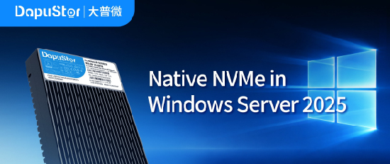 大普微实测解析 Windows Server 2025 原生 NVMe 优势